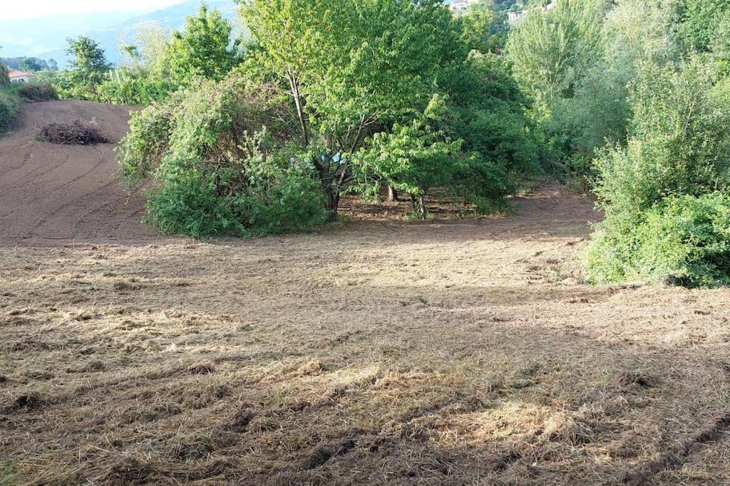 Quinta Dos Castros Douro Villa Baião Dış mekan fotoğraf