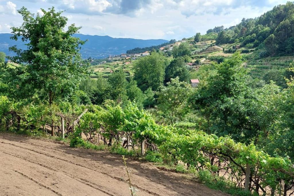 Quinta Dos Castros Douro Villa Baião Dış mekan fotoğraf