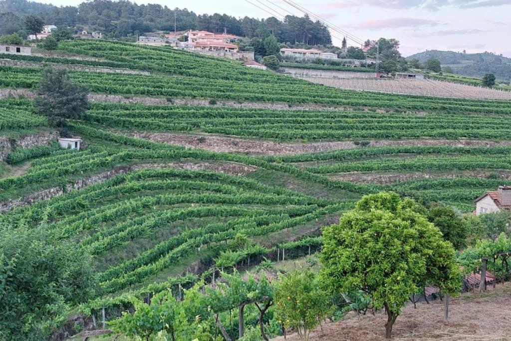 Quinta Dos Castros Douro Villa Baião Dış mekan fotoğraf