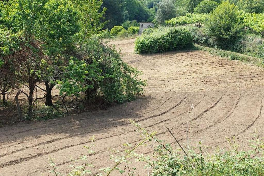 Quinta Dos Castros Douro Villa Baião Dış mekan fotoğraf