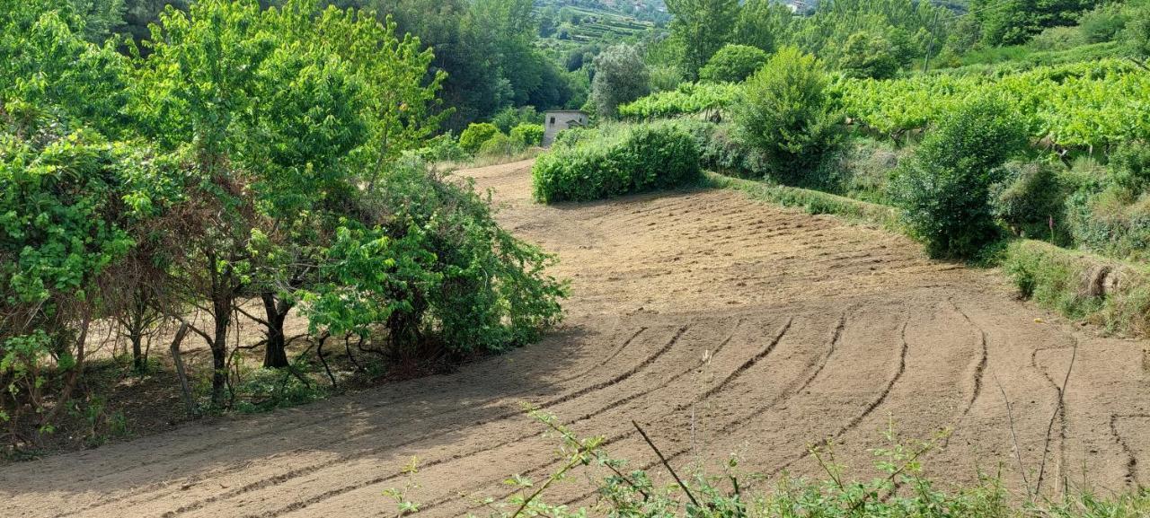 Quinta Dos Castros Douro Villa Baião Dış mekan fotoğraf