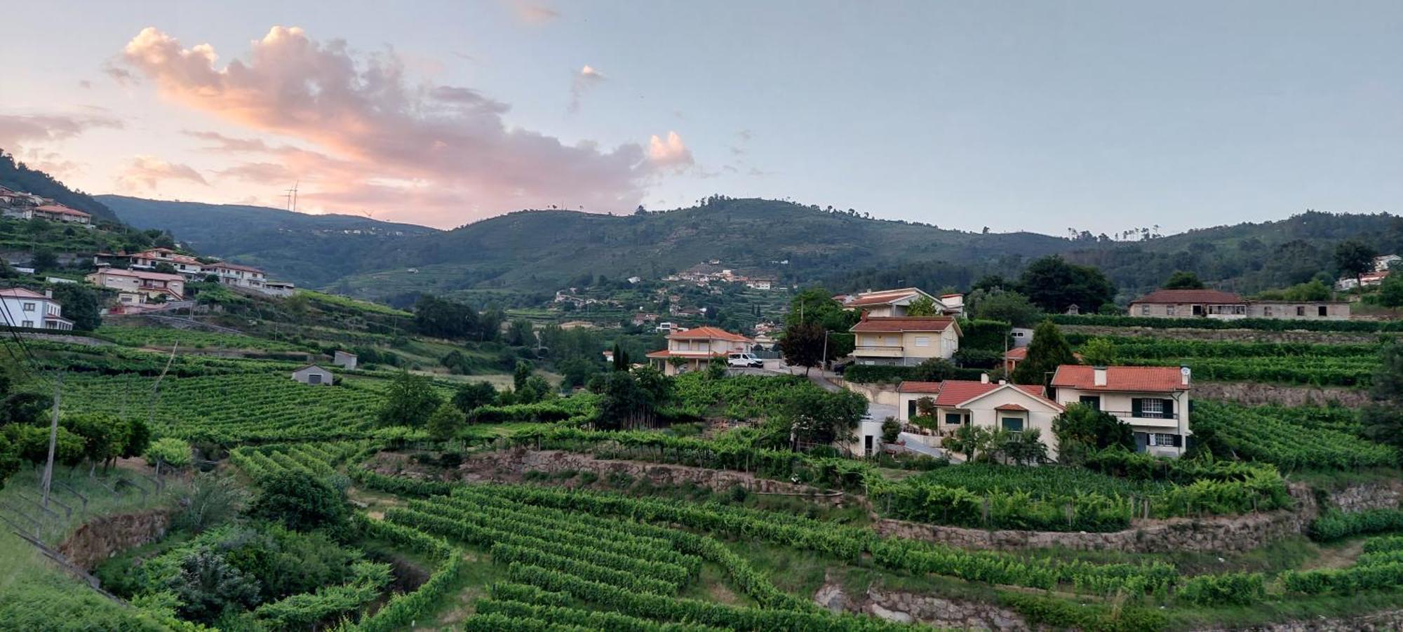 Quinta Dos Castros Douro Villa Baião Dış mekan fotoğraf