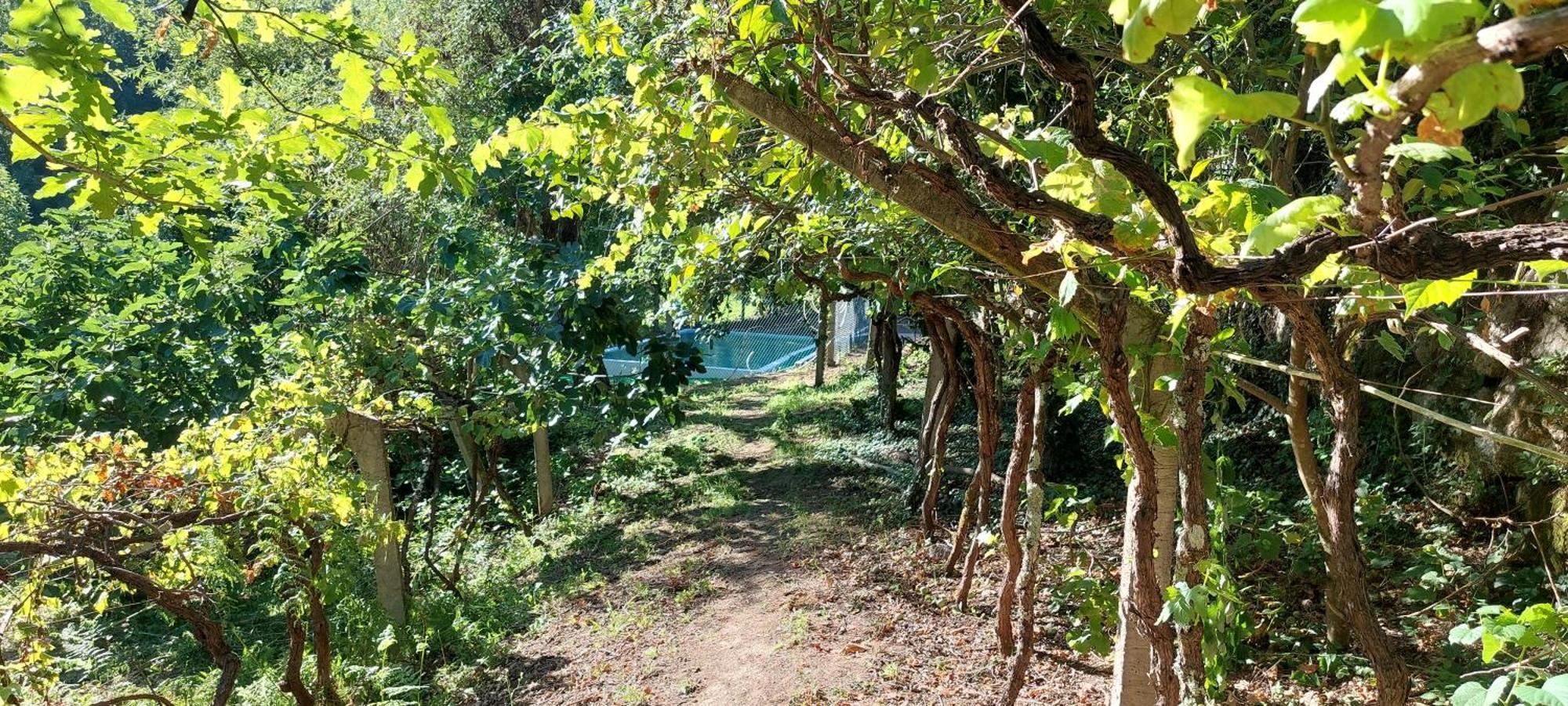 Quinta Dos Castros Douro Villa Baião Dış mekan fotoğraf