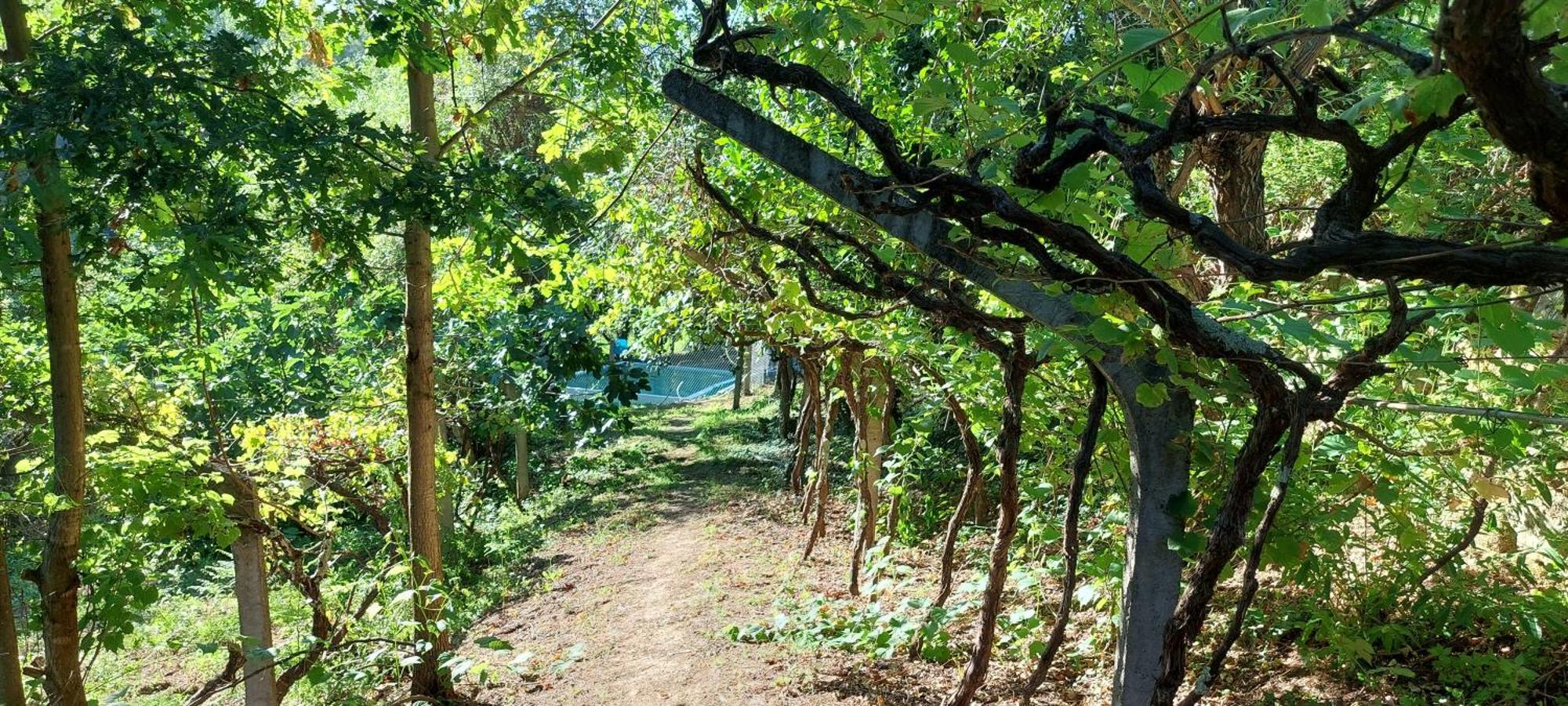 Quinta Dos Castros Douro Villa Baião Dış mekan fotoğraf