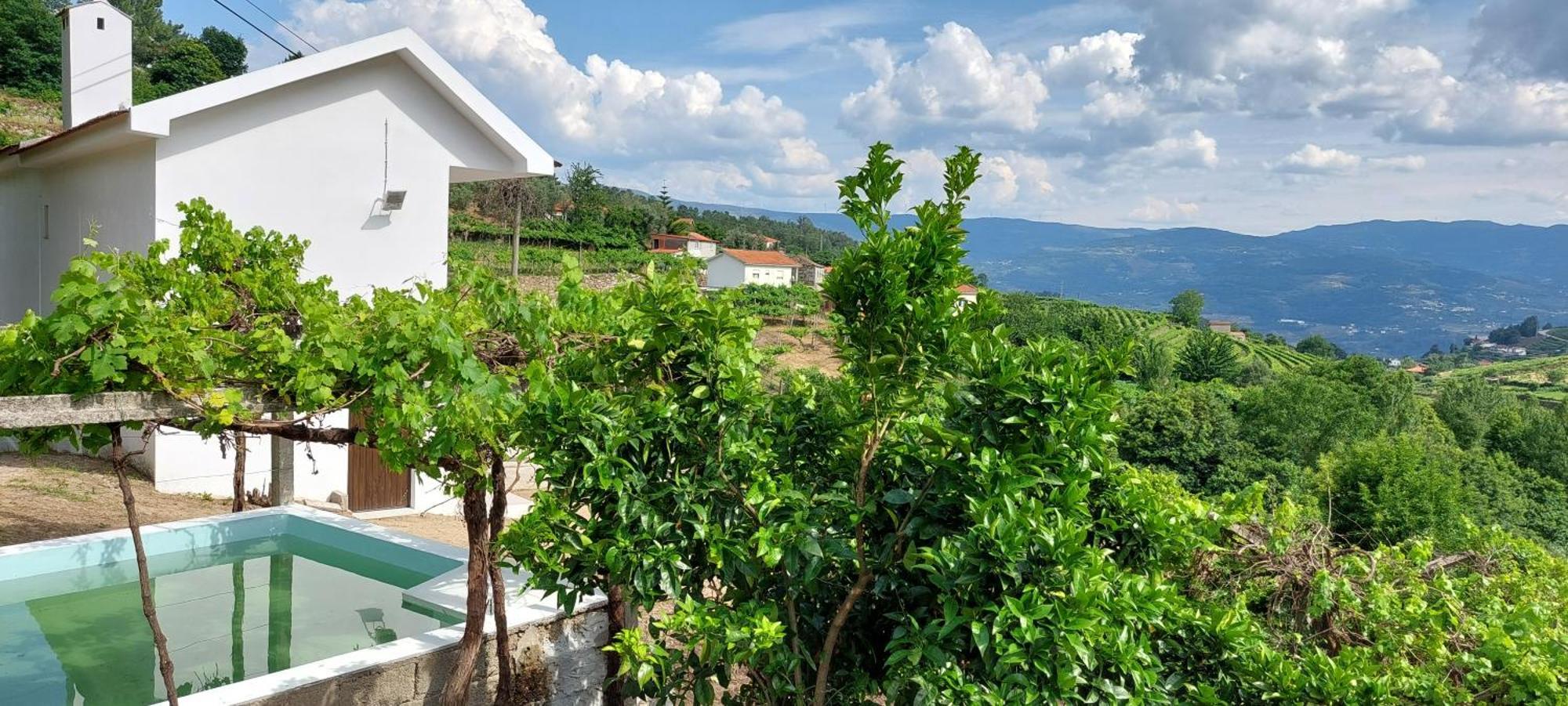 Quinta Dos Castros Douro Villa Baião Dış mekan fotoğraf