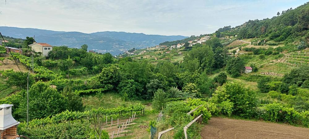 Quinta Dos Castros Douro Villa Baião Dış mekan fotoğraf