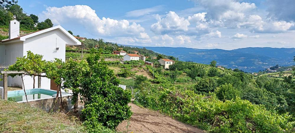 Quinta Dos Castros Douro Villa Baião Dış mekan fotoğraf