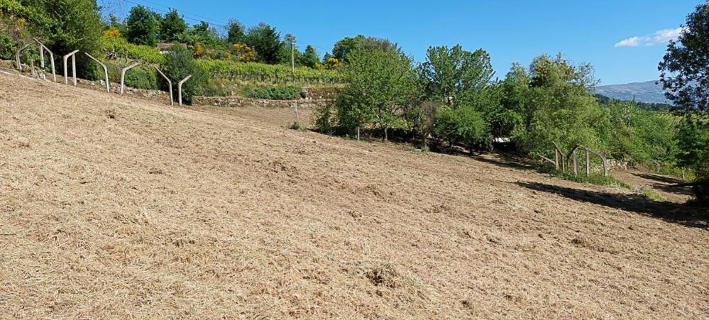 Quinta Dos Castros Douro Villa Baião Dış mekan fotoğraf