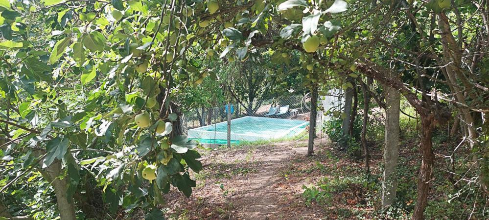 Quinta Dos Castros Douro Villa Baião Dış mekan fotoğraf