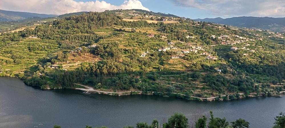 Quinta Dos Castros Douro Villa Baião Dış mekan fotoğraf