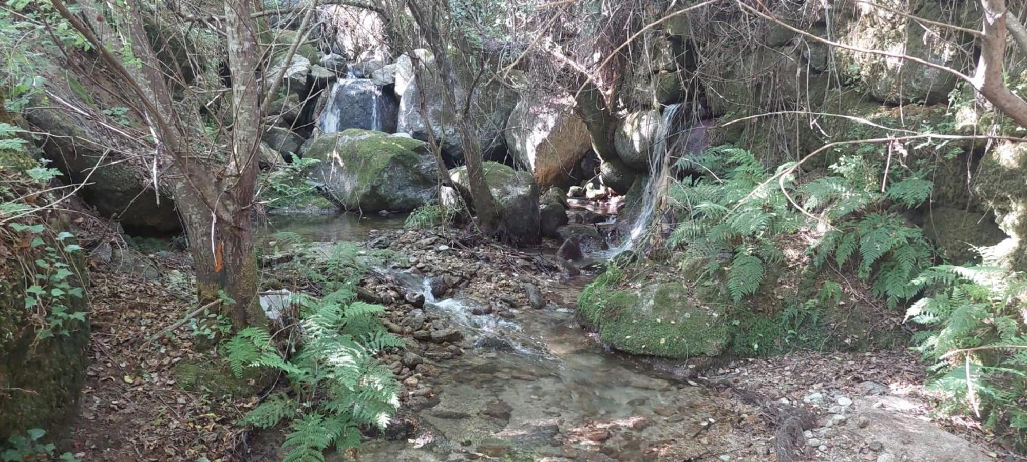 Quinta Dos Castros Douro Villa Baião Dış mekan fotoğraf