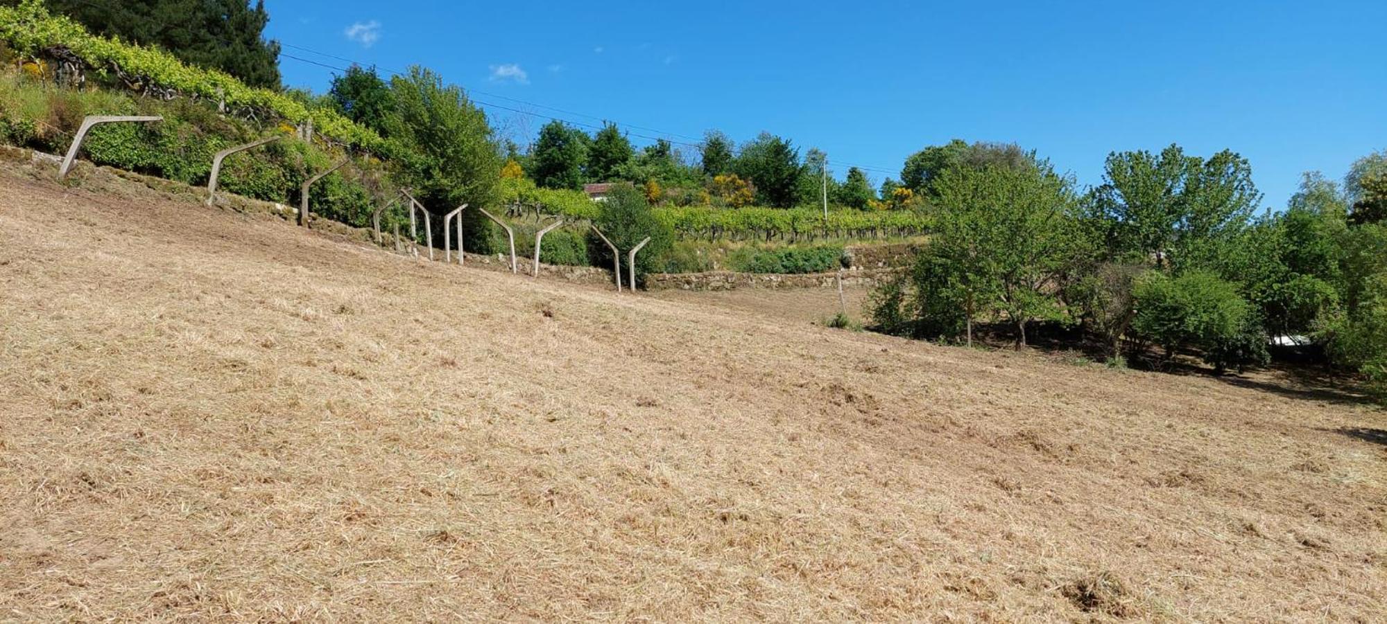 Quinta Dos Castros Douro Villa Baião Dış mekan fotoğraf