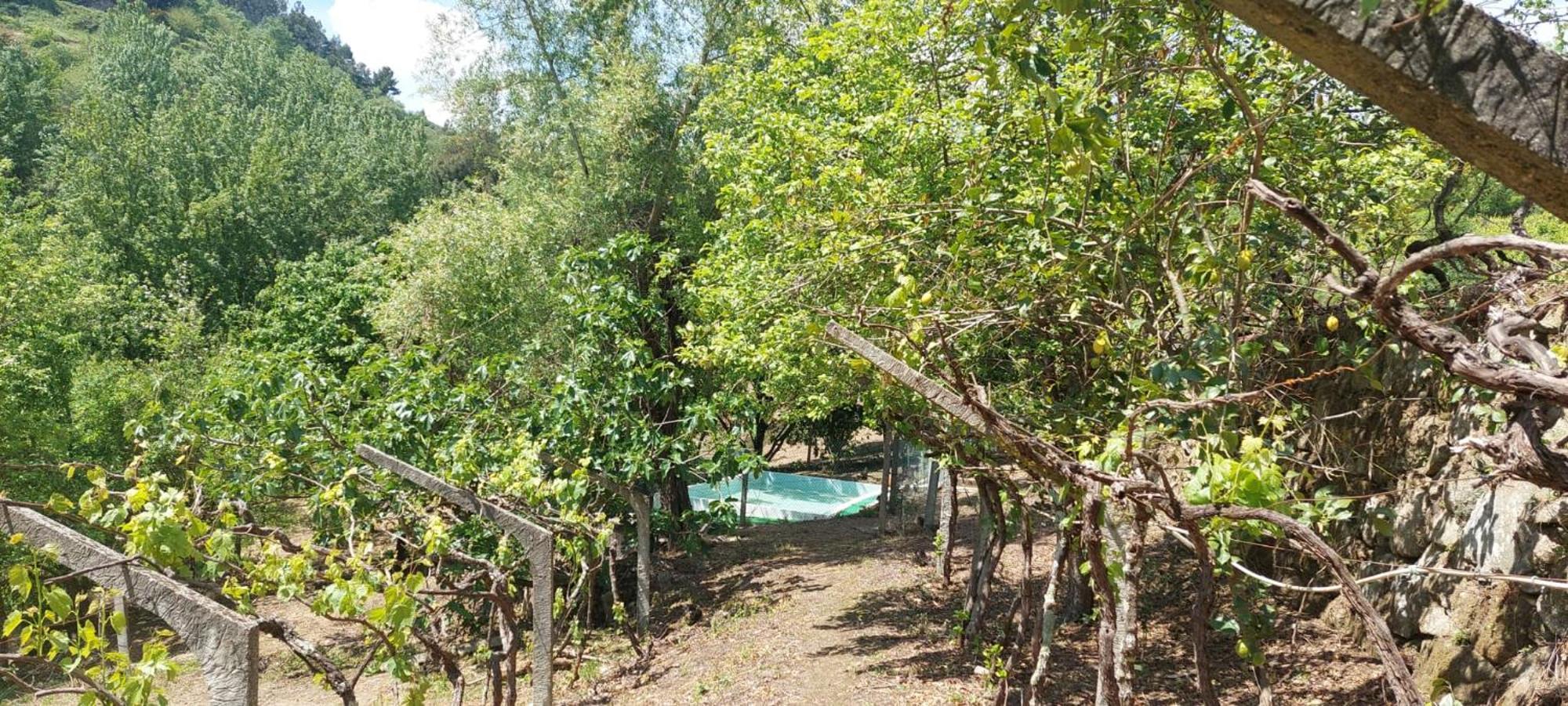 Quinta Dos Castros Douro Villa Baião Dış mekan fotoğraf